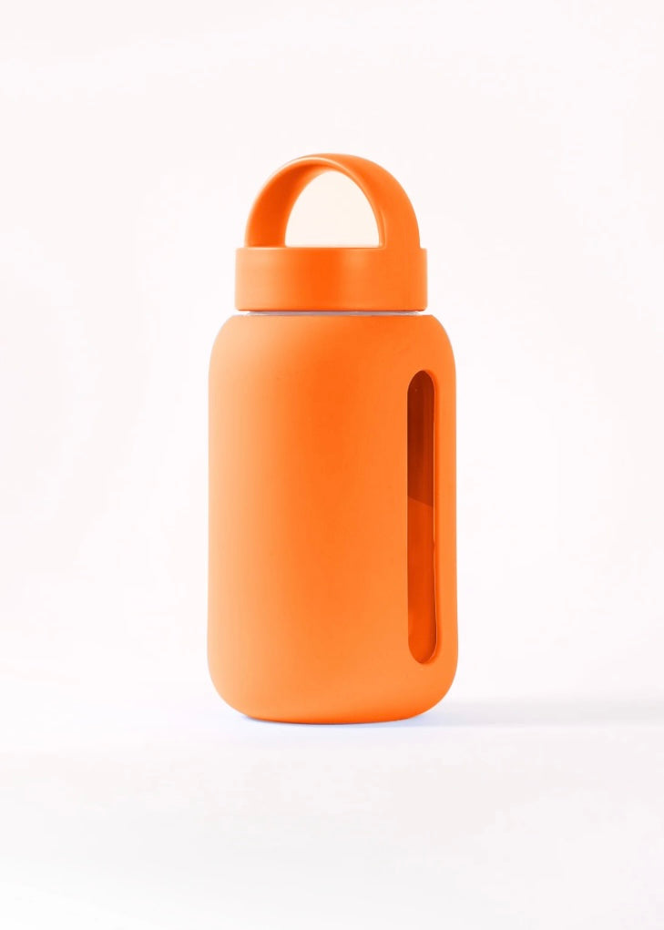 Mini Bottle | 17 oz.