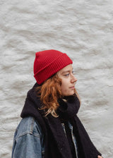 Alpine Cuffed Beanie