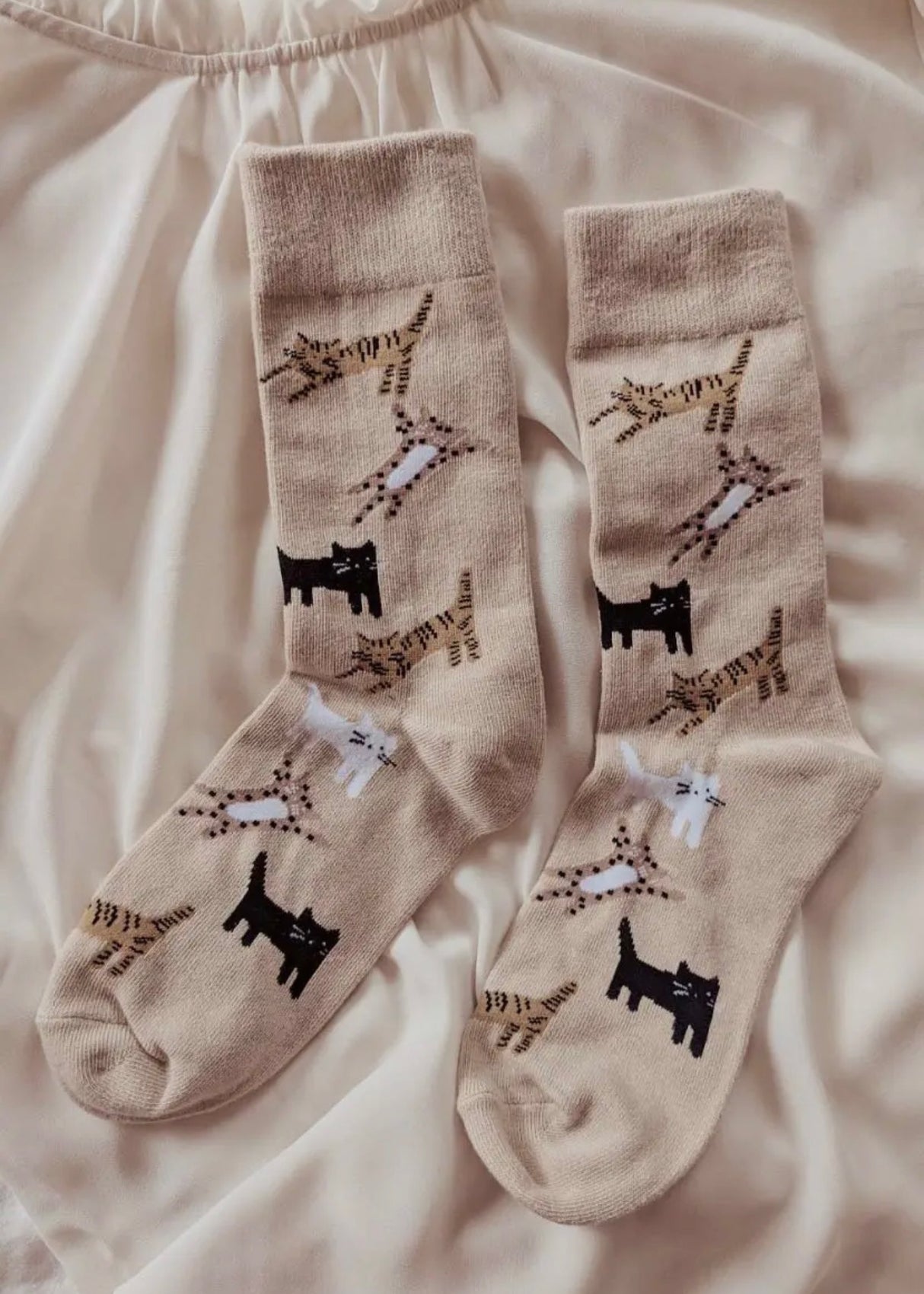 Kitten Cotton Socks