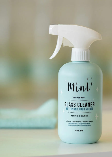 Glass Cleaner - 456 mL