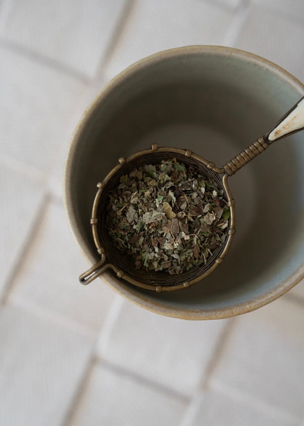 Shkweń Blackberry, Devil's Club & Lemon Balm Tea