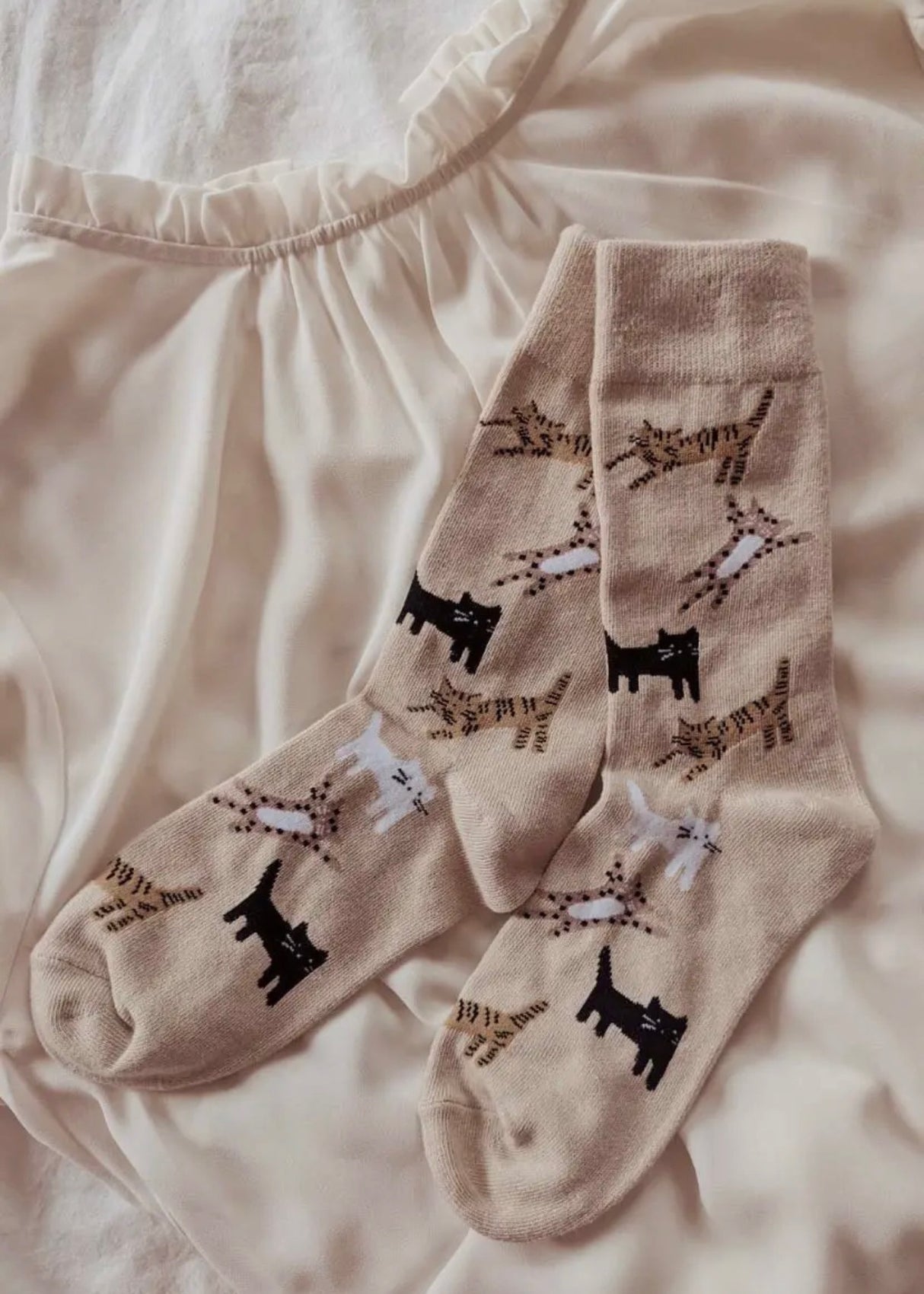 Kitten Cotton Socks