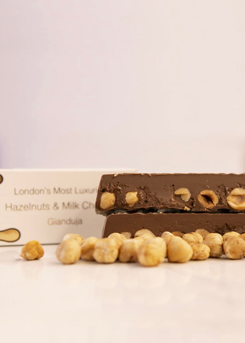 Dark Chocolate Hazelnut Gianduja Terrine